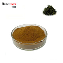 Pure Natural Herbal Medicine Organic Polysaccharide Siberian Ginseng Extract Powder